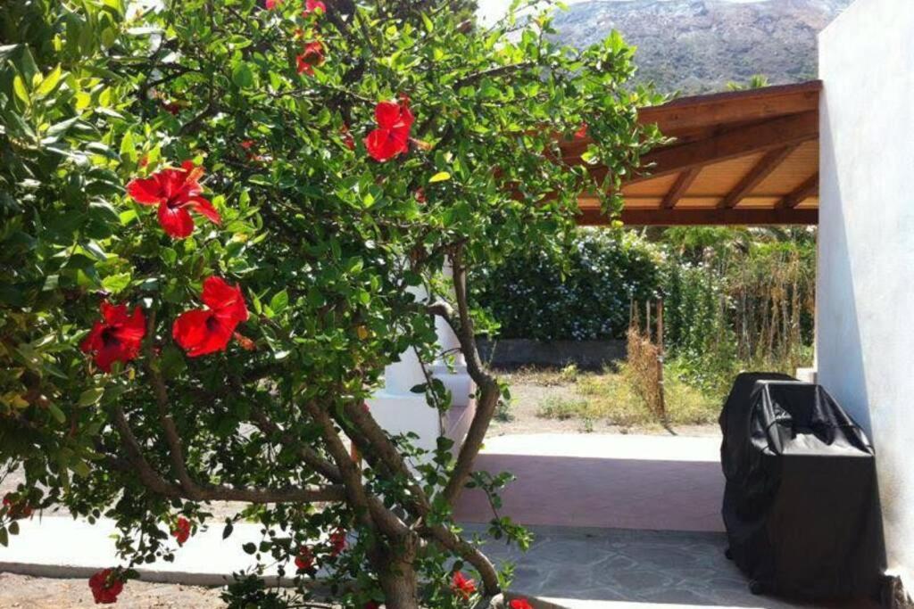 Villa By The Vulcano - 70Mq Plus Large Garden And Patio Eksteriør bilde