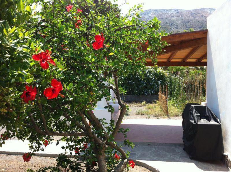 Villa By The Vulcano - 70Mq Plus Large Garden And Patio Eksteriør bilde